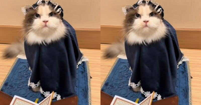 TikTok.com/edamame1995_